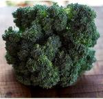 Broccoli/ Brocoli