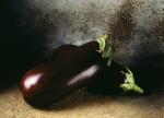 Eggplant, Classic (dark)/ Berenjena Regular